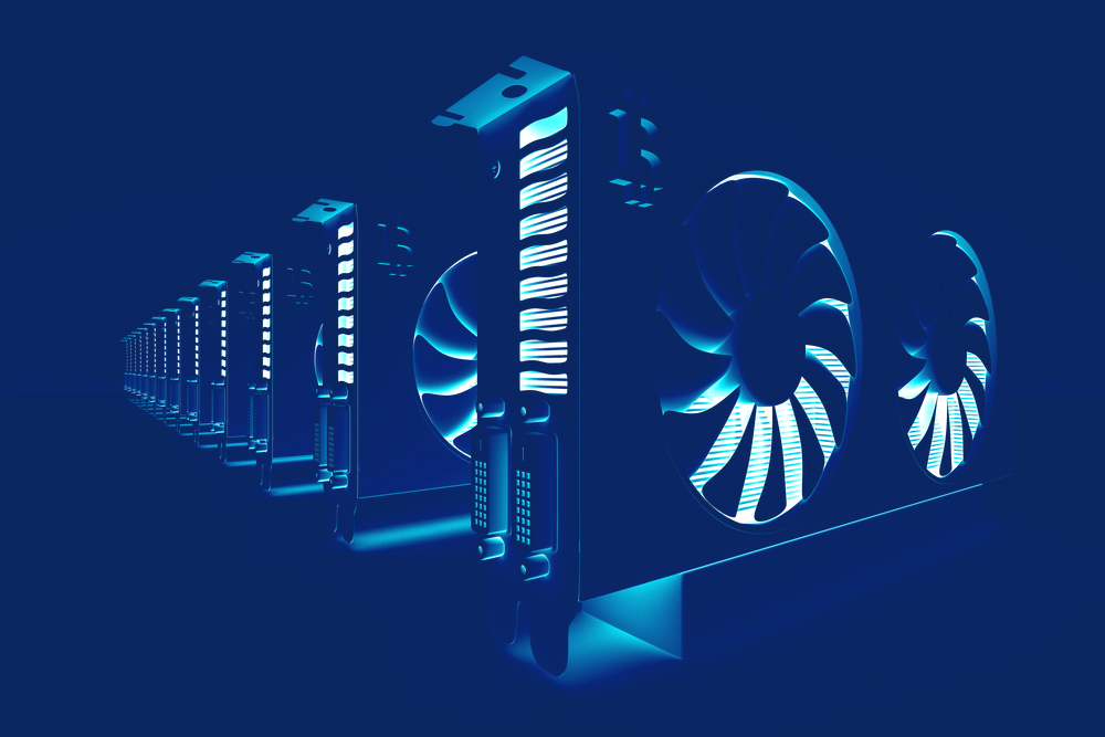 wealthprimechain.com hosting